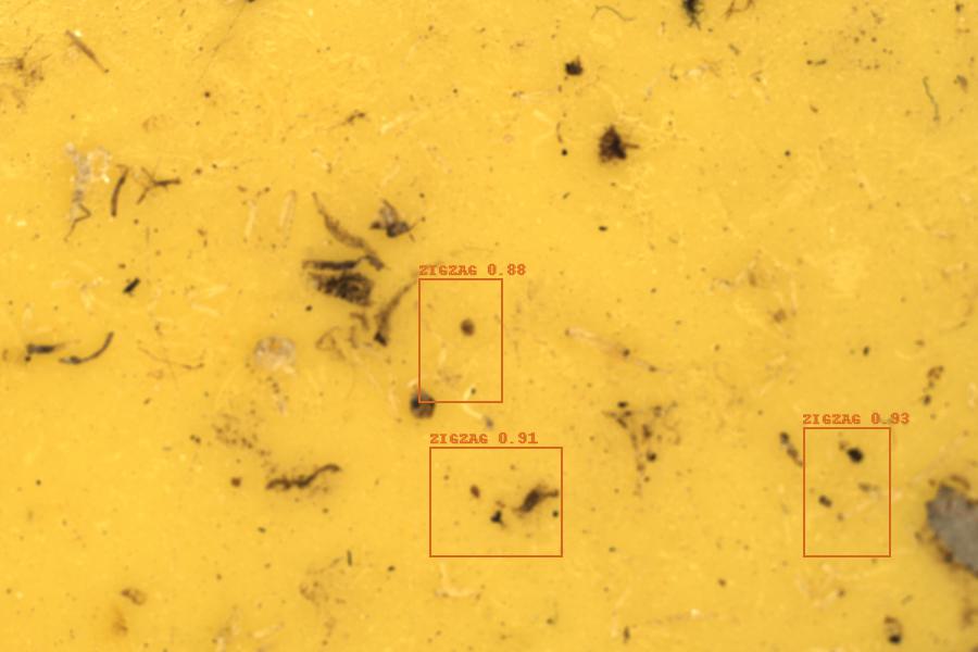 Image 10